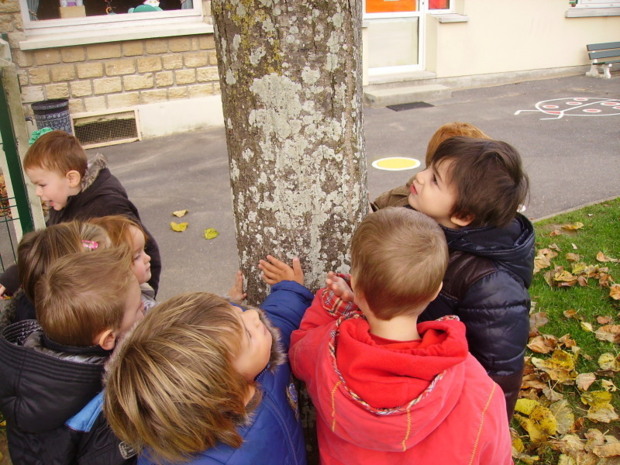 Rentrée d'automne.