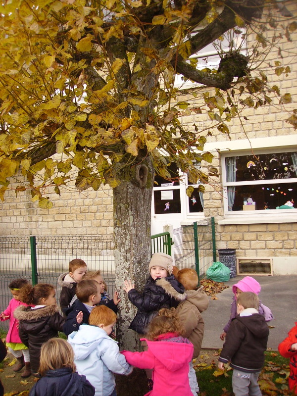 Rentrée d'automne.