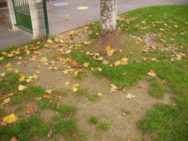 Rentrée d'automne.