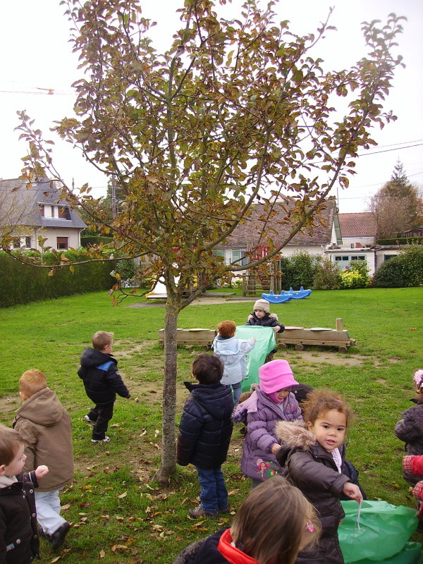 Rentrée d'automne.