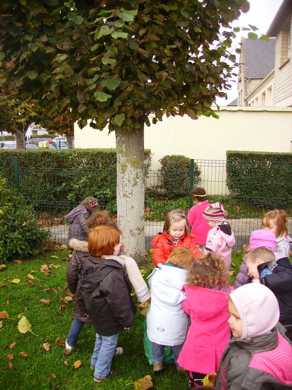 Rentrée d'automne.