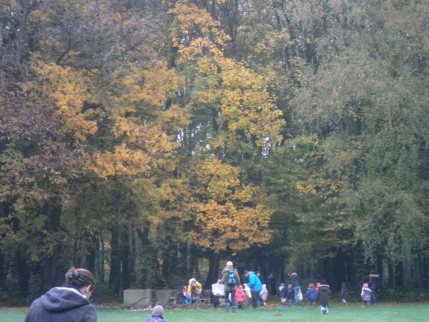 Promenade au Bois de Lébisey