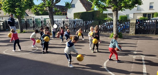 Basket en petite section